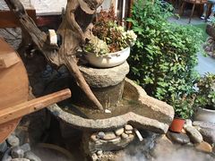 -大理董·董家小厨野生菌火锅(古城旗舰店)