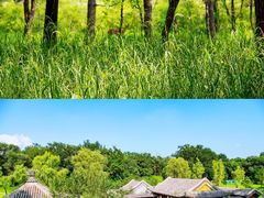 -承德避暑山庄景区