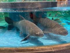 -都市阳光海鲜城(青山湖店)