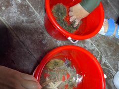 -蓝湾绿城威斯汀度假酒店大堂吧