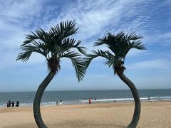 -日照海滨国家森林公园