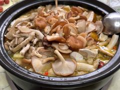 -野菌王•养生汤锅•野生菌火锅(大理漾濞路店)