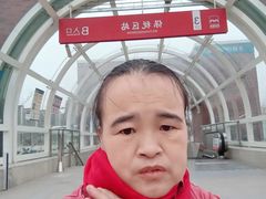 -外高桥保税区南(地铁站)