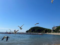 -棒棰岛宾馆景区