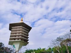 -顺峰山公园
