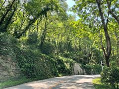-秦岭终南山世界地质公园翠华山景区