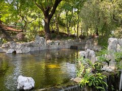 -九龙寨城公园