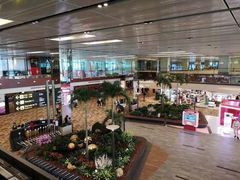 -樟宜机场免税店