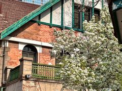 -天津五大道文化旅游区