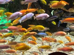 -太平洋海底世界