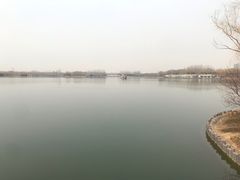 -大兴滨河森林公园