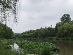 -新江湾城公园