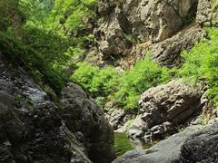 -云岫谷游猎自然风景区