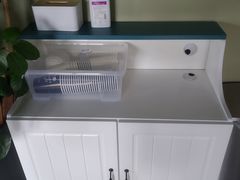 -东方名猫馆·英短金渐层布偶猫舍(环线广场1号楼店)