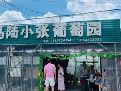 -马陆小张葡萄园农家乐