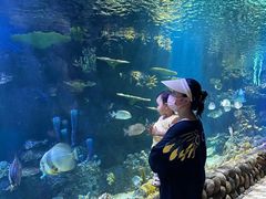 -华夏文旅海洋公园