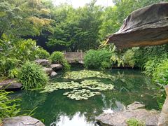 -龙头寺公园