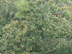 -九华秋浦胜境大王洞风景区