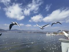 -海埂大坝