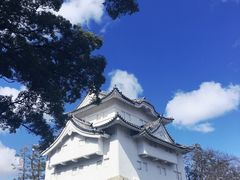 -名古屋城