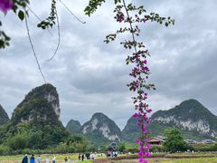 -靖西鹅泉风景区