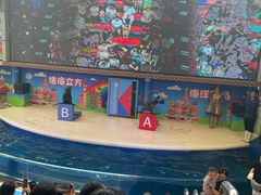 -成都浩海立方海洋公园