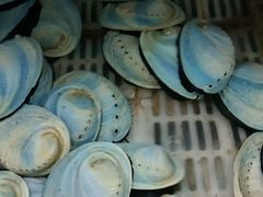 -班赞海鲜市场