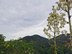 -白马涧龙池景区