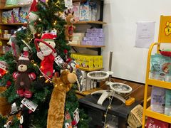 -美联众合宠物医院·爱萌分院·内外科·猫科中心
