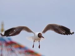 -青海湖二郎剑景区