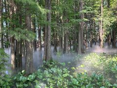 -东湖落雁景区