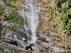 -鼎湖山风景区