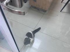 -全心全意连锁动物医院·微创中心·内科急重症·心脏专科(丰管路店)