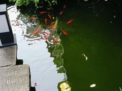 -嘉缤苑