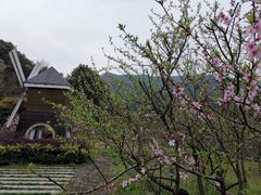 -梦娜斯庄园