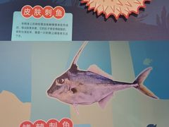 -浙江自然博物院(杭州馆)