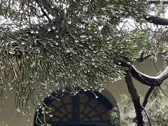 -上海宋庆龄故居纪念馆