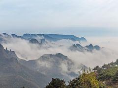 -王莽岭风景区