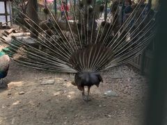 -无锡动物园·太湖欢乐园