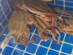 -威海渔村(黄兴路店)