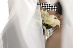 -金夫人婚纱摄影(华南店)