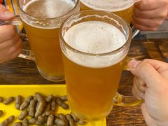-野火鲜货烧烤(河边小院店)
