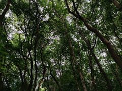 -灵隐飞来峰景区