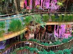 -正佳雨林生态植物园