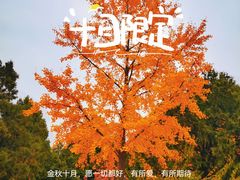 -北京西山国家森林公园