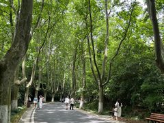 -WeLope紫金山探险公园