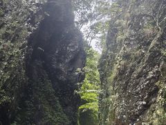 -夏霖九天银瀑风景区