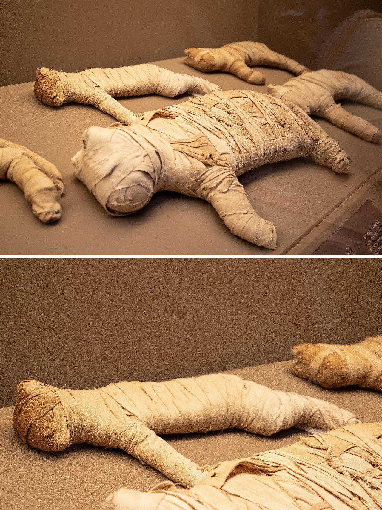 据说下面这位"绿脸"也很有来头