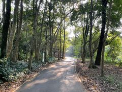 -南宁良凤江国家森林公园