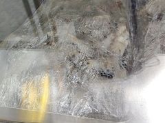 -徐记羊肉馆(新龙路店)